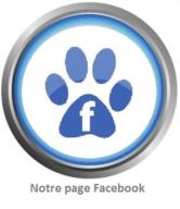 https://www.facebook.com/pages/HoLiDoGs-H%C3%B4tel-pour-chiens/125142820897603?ref=tn_tnmn